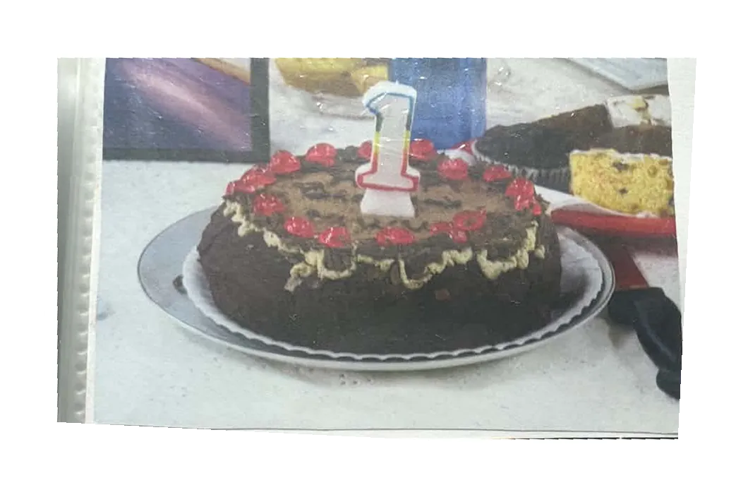 Chocolate cake decorated with red berries and a candle in the shape of the number 1.